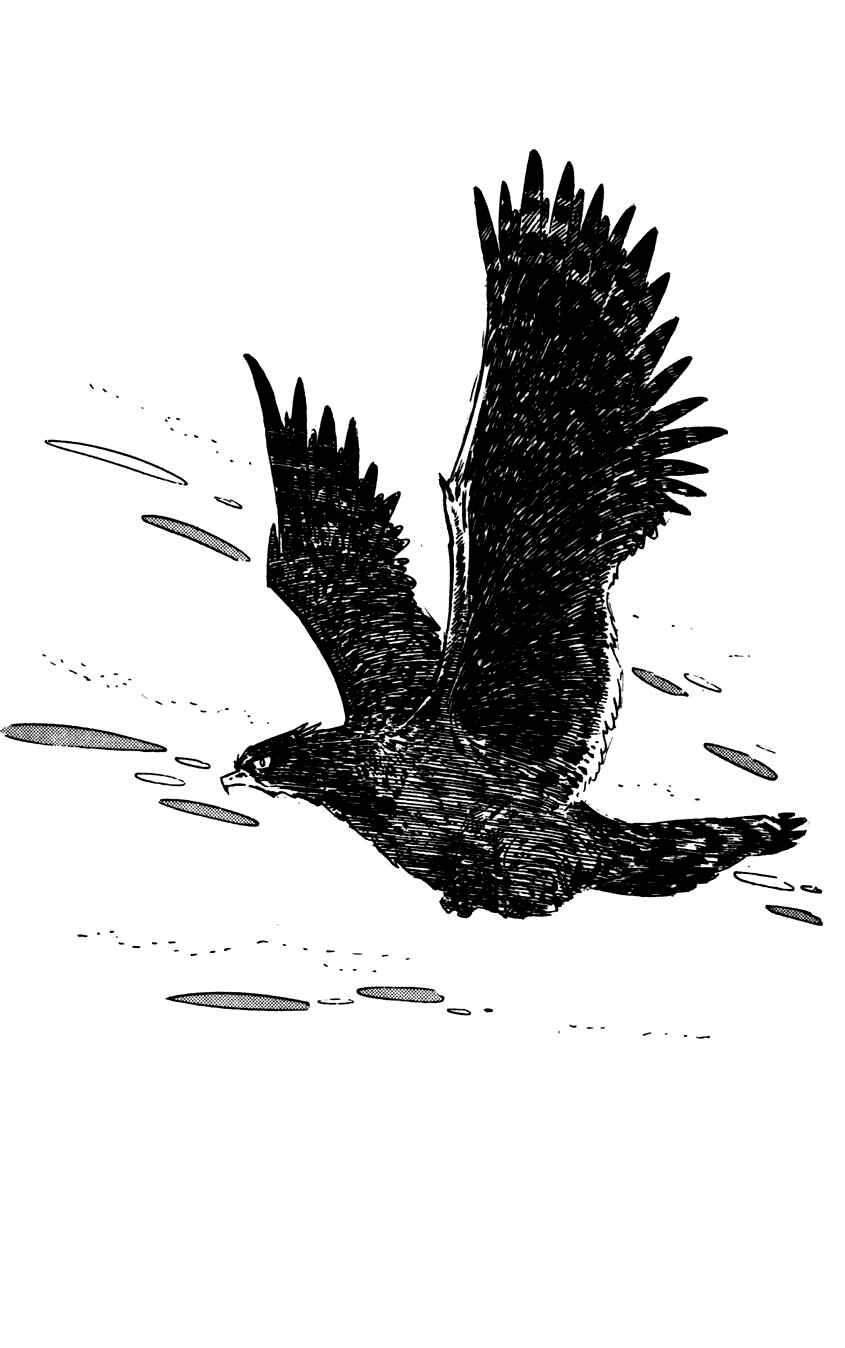 Page 30 Chapter 1 Flap Your Wings, Taromaru!