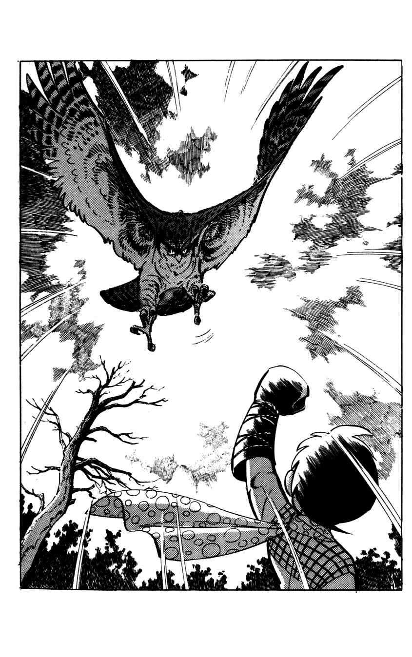Page 14 Chapter 5 Flap Your Wings, Taromaru!