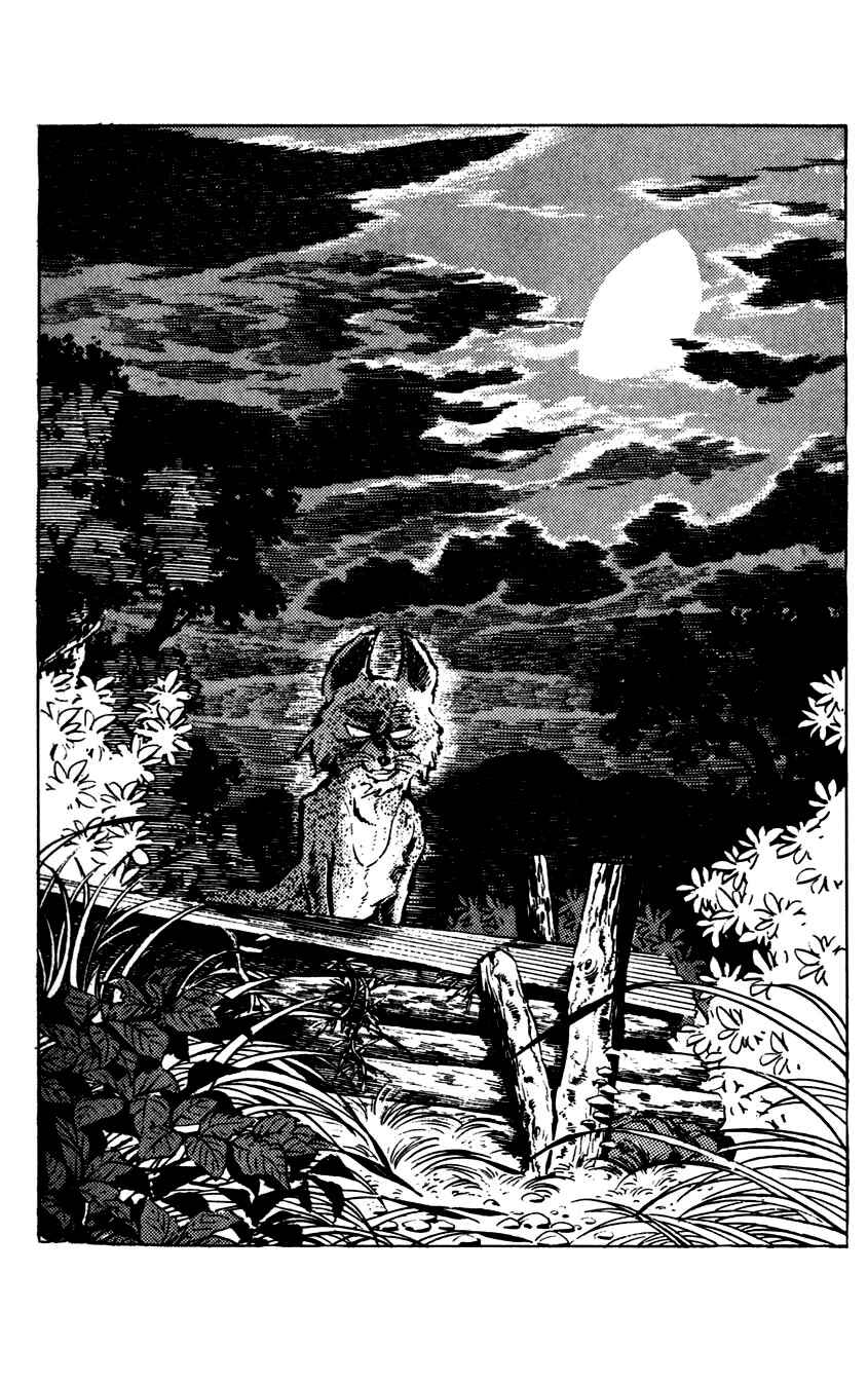 Page 13 Chapter 7 Flap Your Wings, Taromaru!