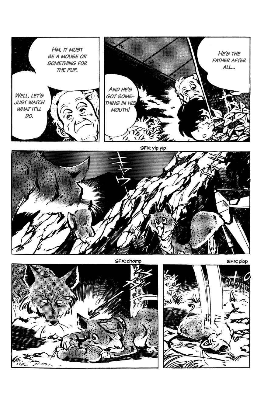 Page 39 Chapter 7 Flap Your Wings, Taromaru!