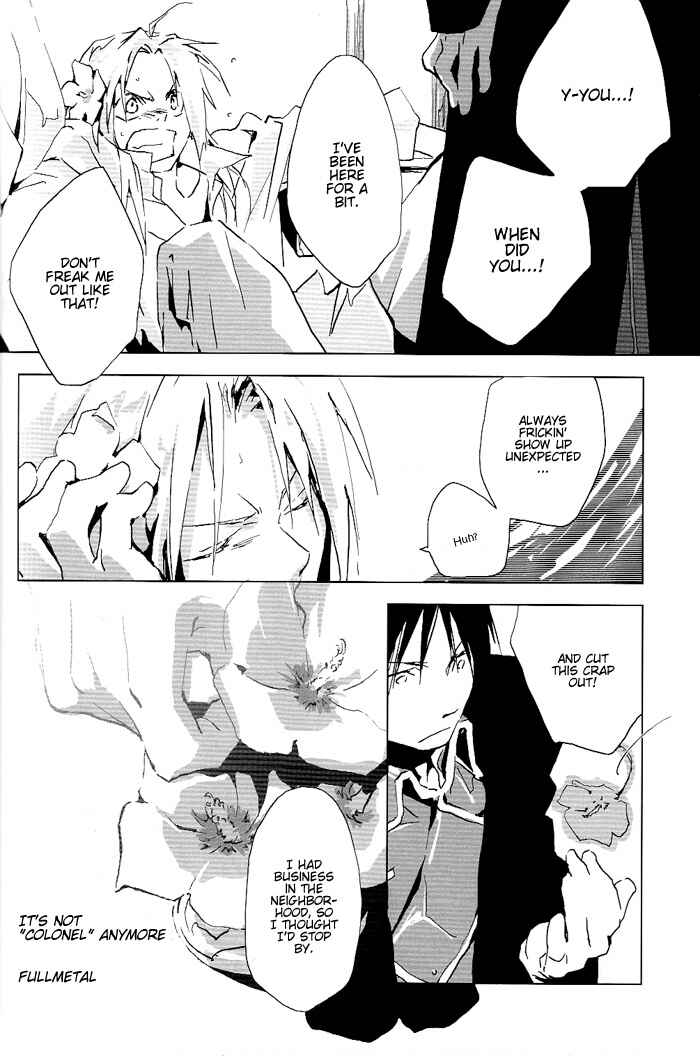 Page 15 Chapter Unknown_bc0f Fullmetal Alchemist - Traumerei (Doujinshi)