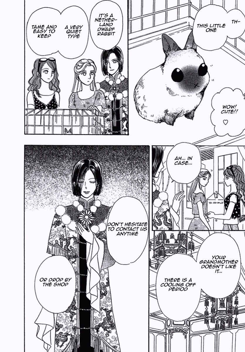 Page 12 Chapter 36 Shin Pet Shop of Horrors