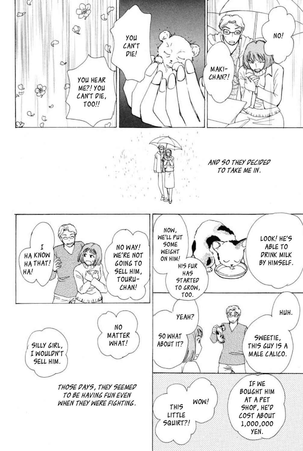 Page 19 Chapter 12 Shin Pet Shop of Horrors