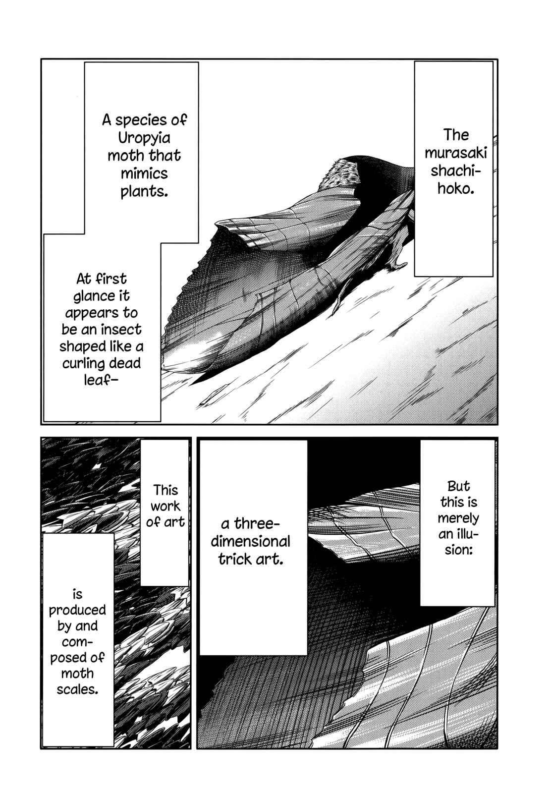 Page 13 Chapter 16 Caterpillar