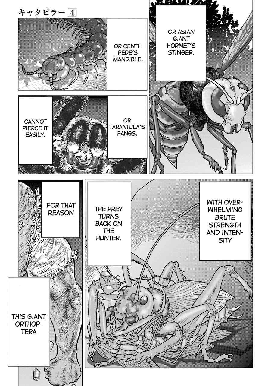 Page 17 Chapter 26 Caterpillar