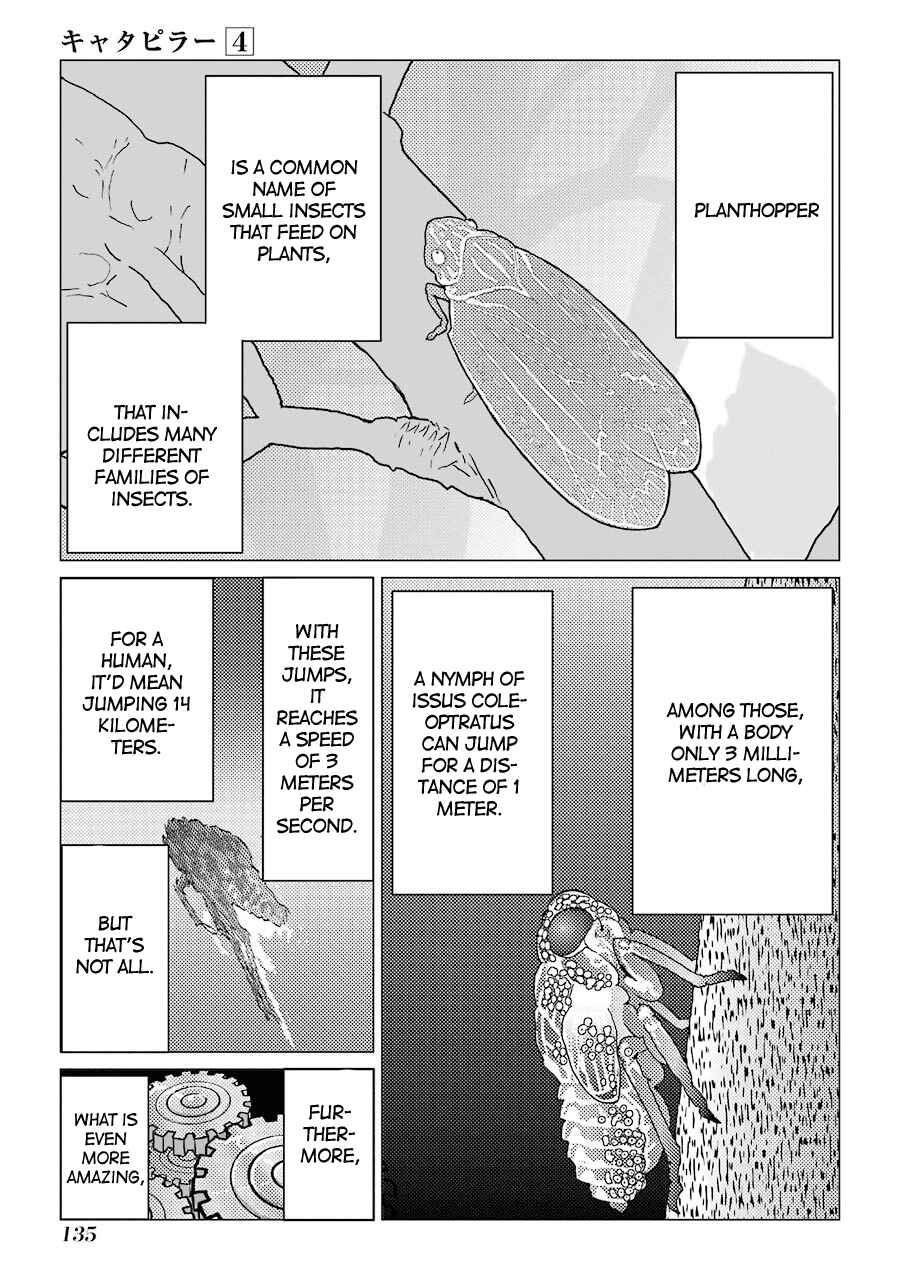 Page 14 Chapter 30 Caterpillar