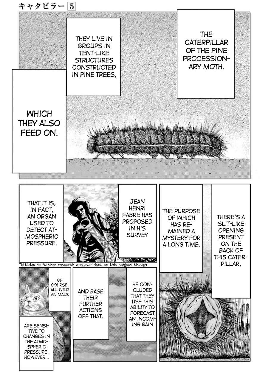 Page 17 Chapter 37 Caterpillar