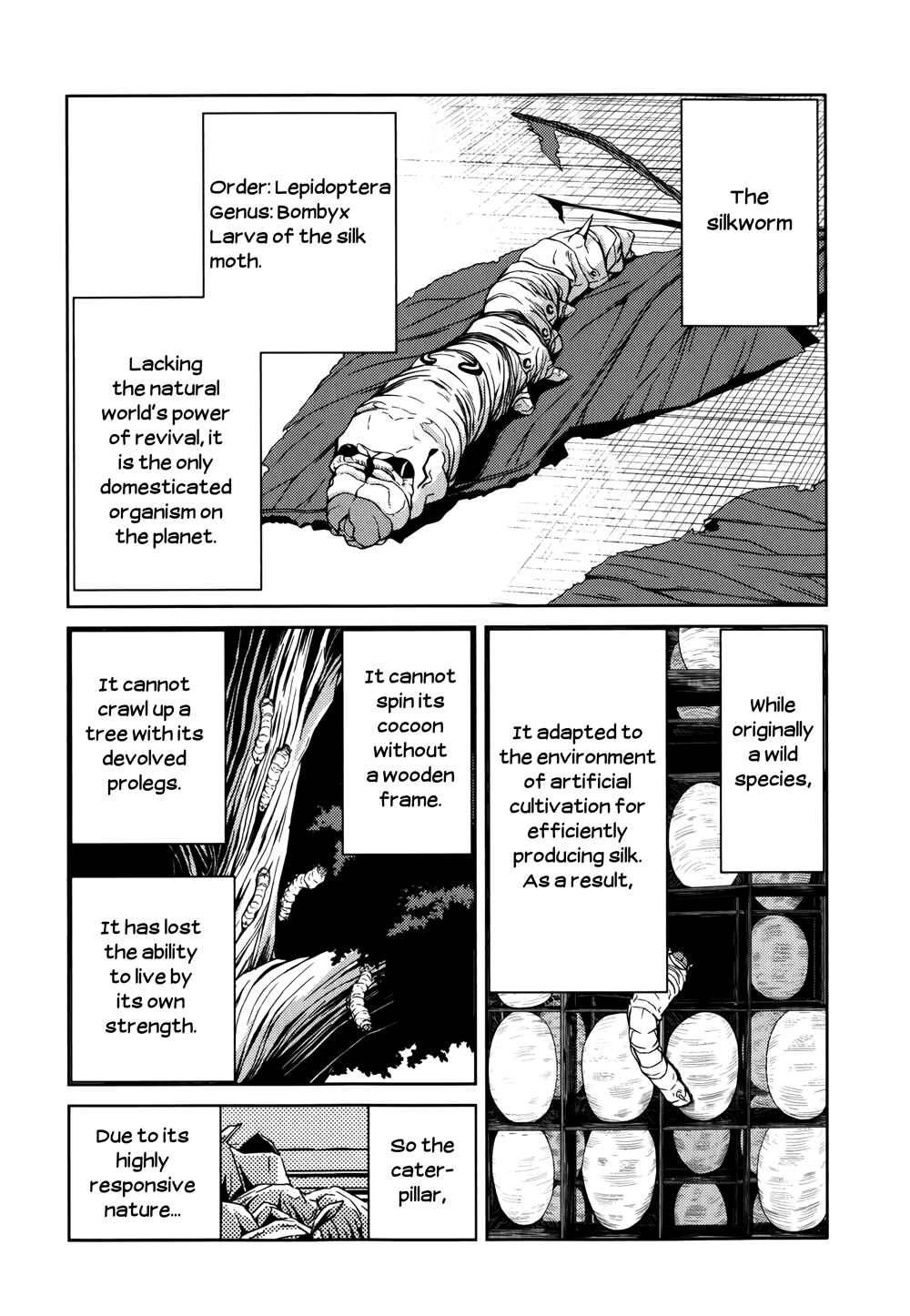 Page 5 Chapter 12 Caterpillar
