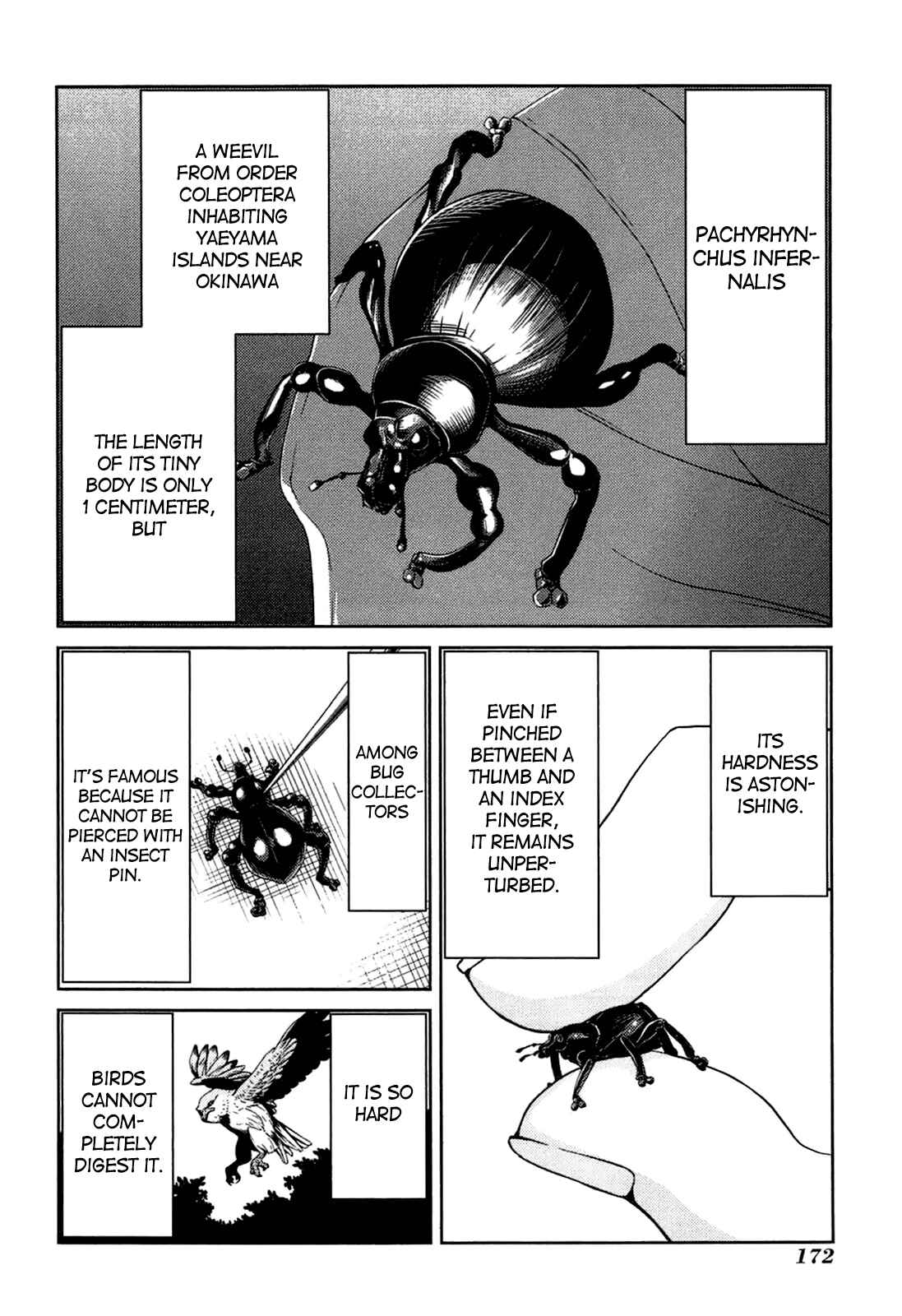Page 14 Chapter 24 Caterpillar