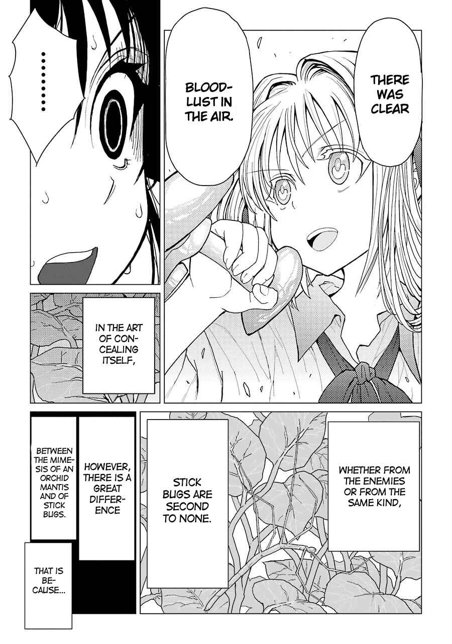 Page 20 Chapter 28 Caterpillar