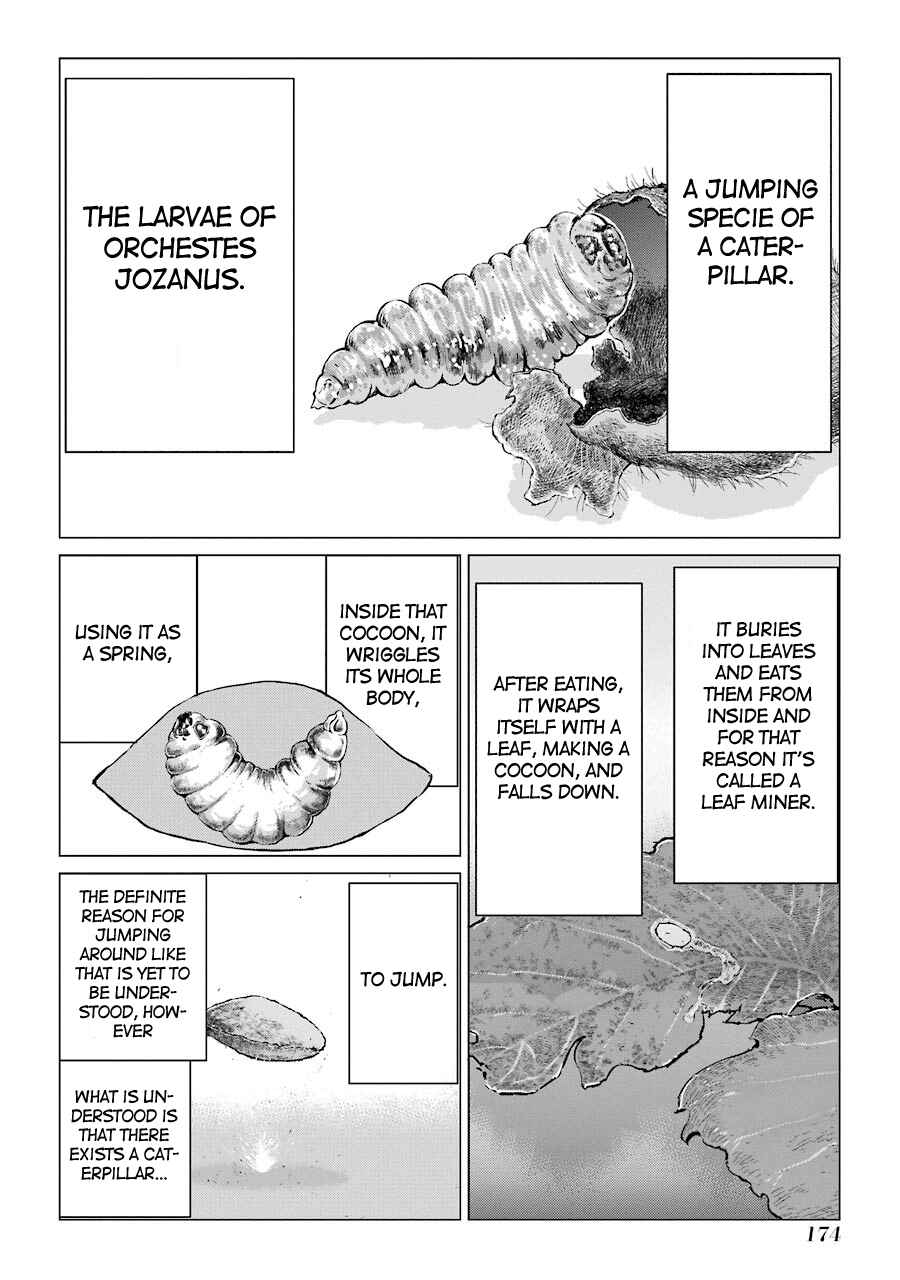 Page 10 Chapter 32 Caterpillar