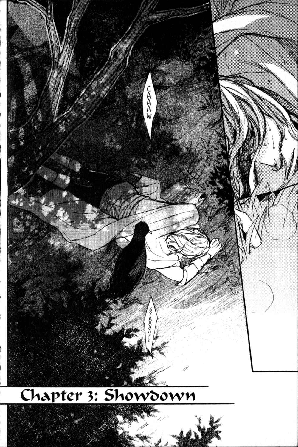 Page 11 Chapter 3 Castlevania - Curse of Darkness