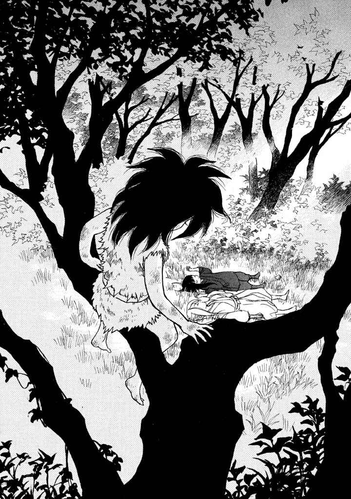 Page 27 Chapter 17 Land