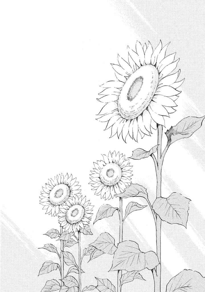 Page 30 Chapter 22 Land