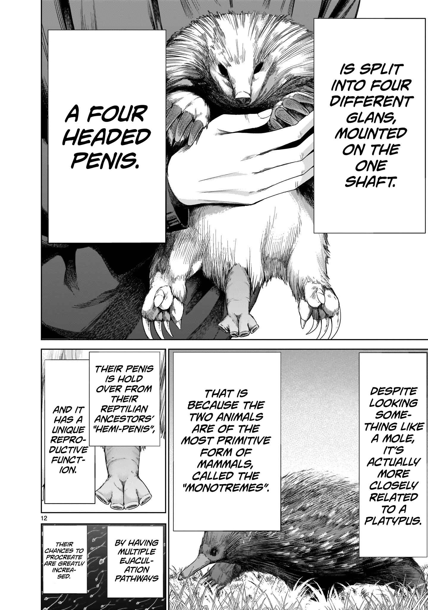 Page 11 Chapter 2 Hoshigari Sugi desho!? Inaba-san