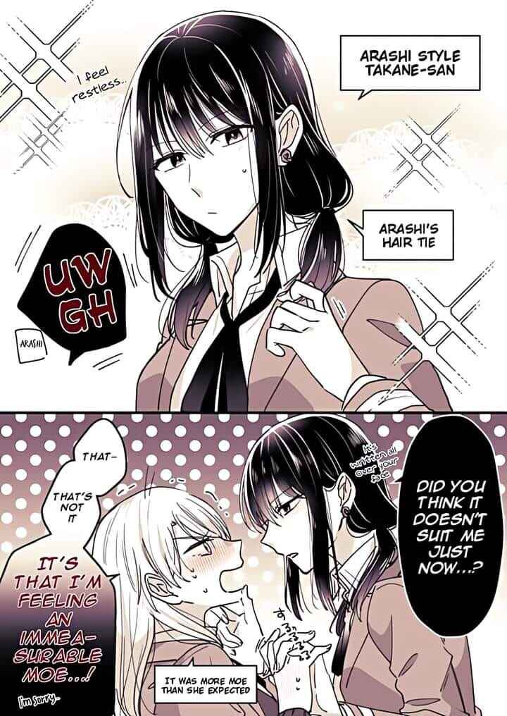 Page 15 Chapter 2 Takane-san and Arashi-chan