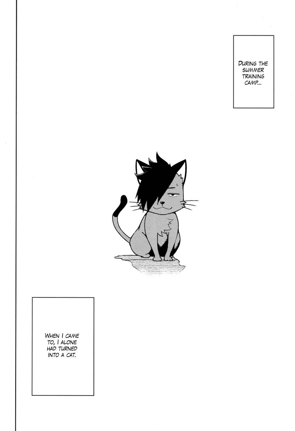 Page 12 Chapter Unknown_d78c Haikyuu!! - NEKO_Re;collection Kuroken (Doujinshi)