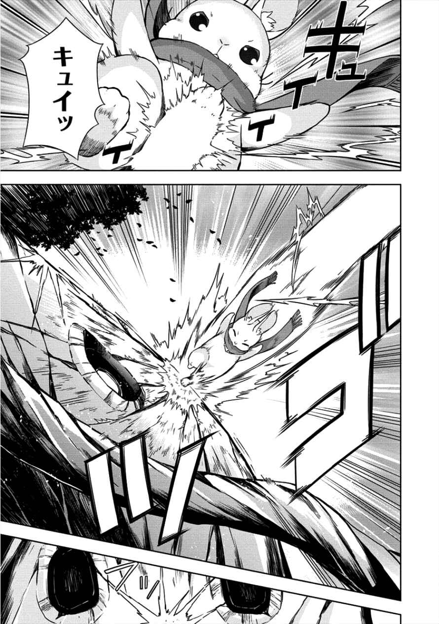 Page 11 Chapter 12 VRMMO de Summoner Hajimemashita
