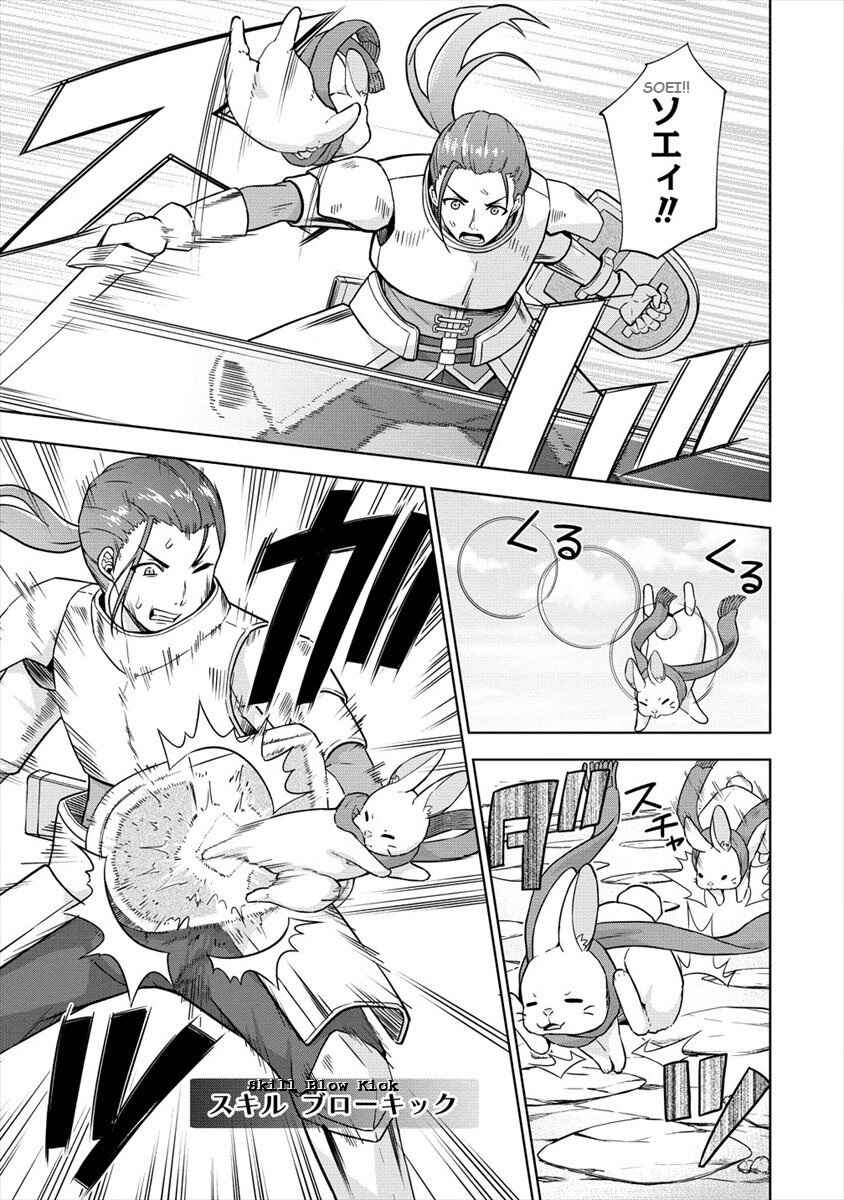 Page 9 Chapter 22 VRMMO de Summoner Hajimemashita