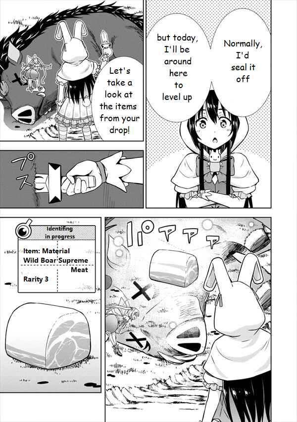 Page 17 Chapter 19 VRMMO de Summoner Hajimemashita