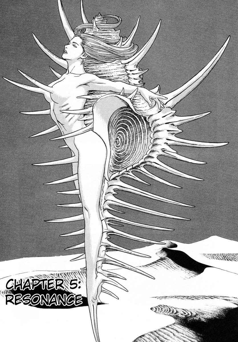 Page 1 Chapter 5 Cambrian