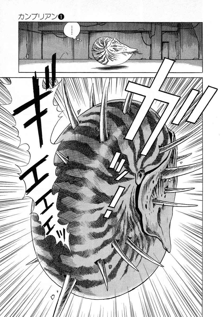 Page 19 Chapter 5 Cambrian