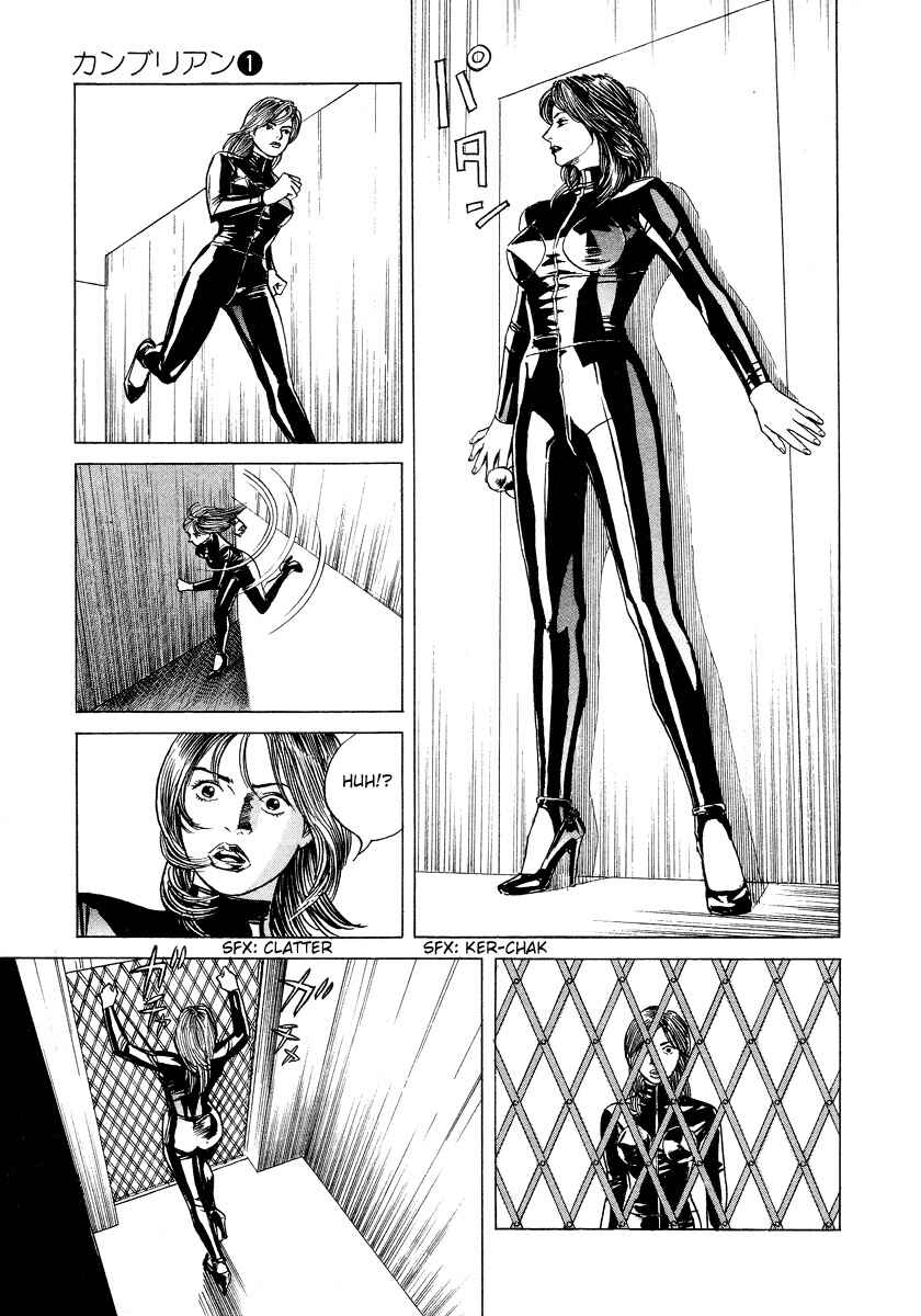 Page 11 Chapter 8 Cambrian