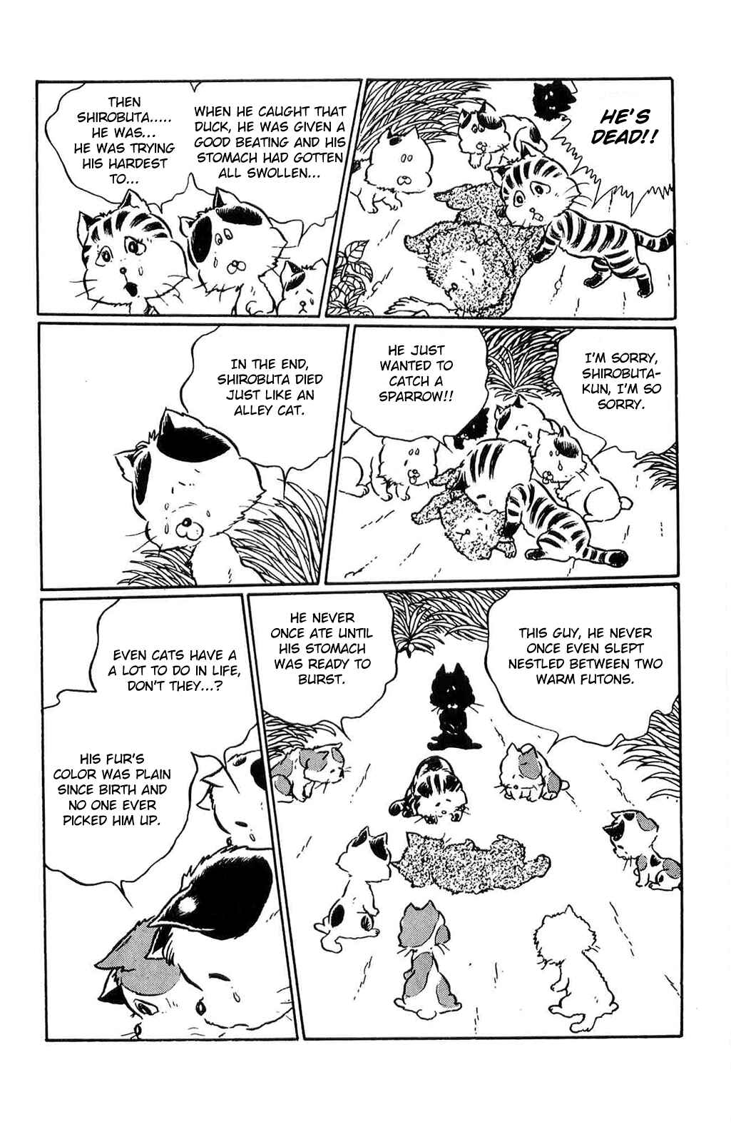 Page 13 Chapter 2 Torajima no Mi-me