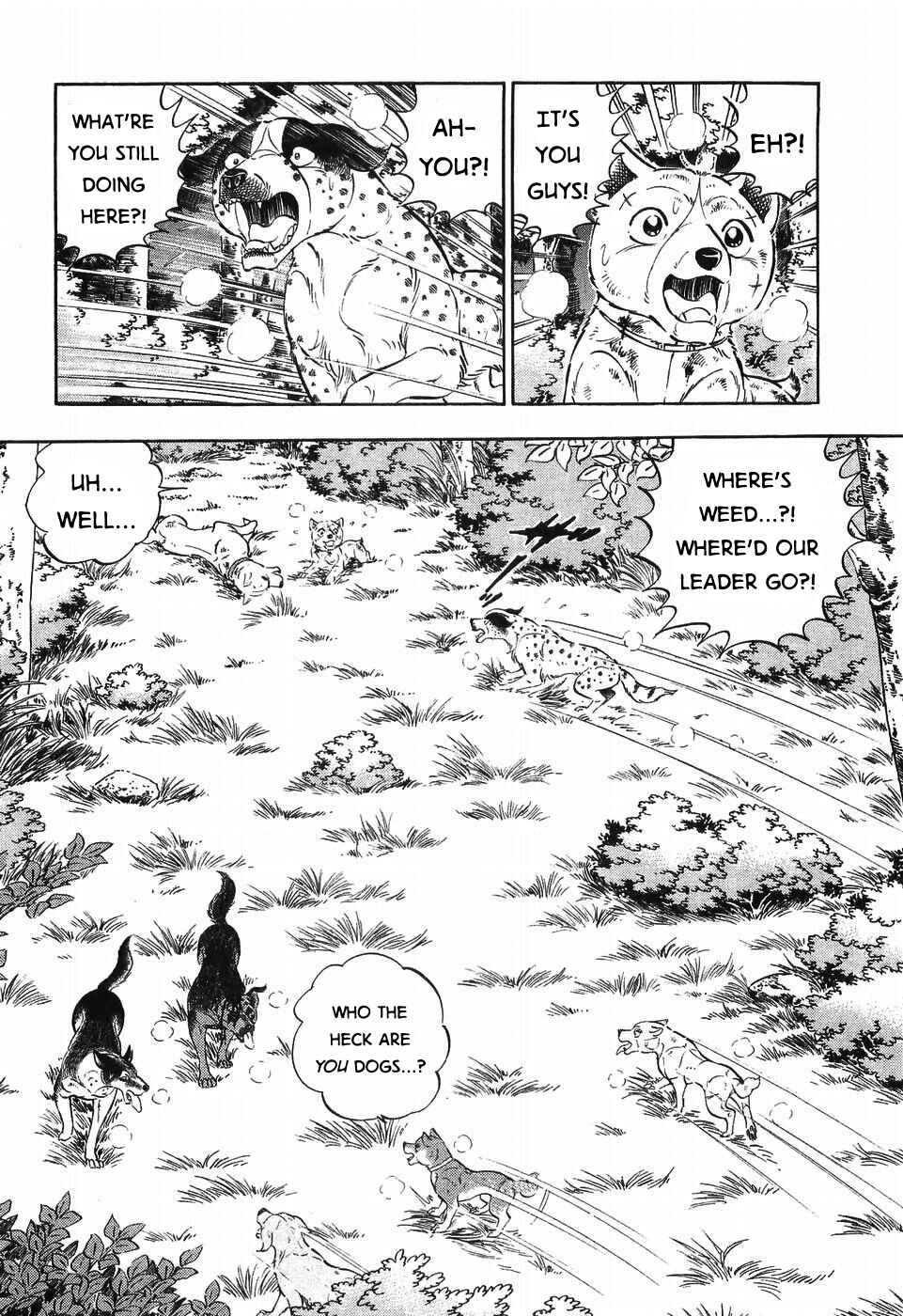 Page 13 Chapter 305 Ginga Densetsu Weed
