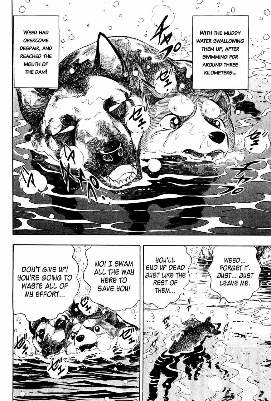 Page 10 Chapter 51 Ginga Densetsu Weed