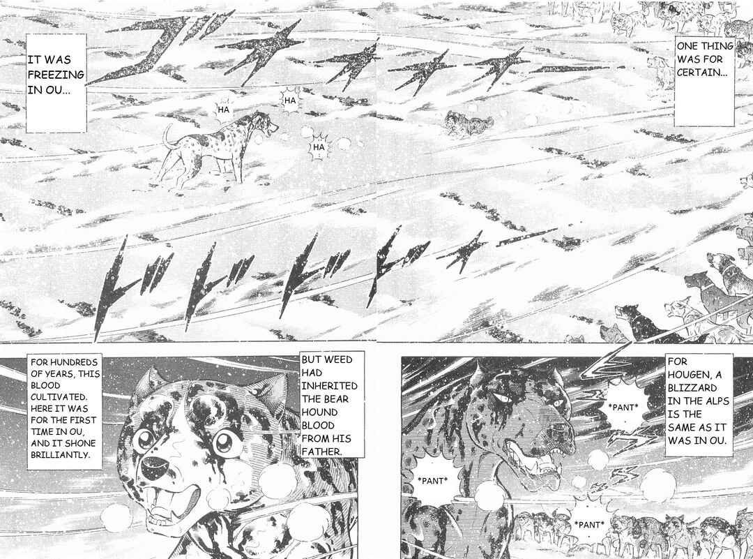 Page 17 Chapter 249 Ginga Densetsu Weed