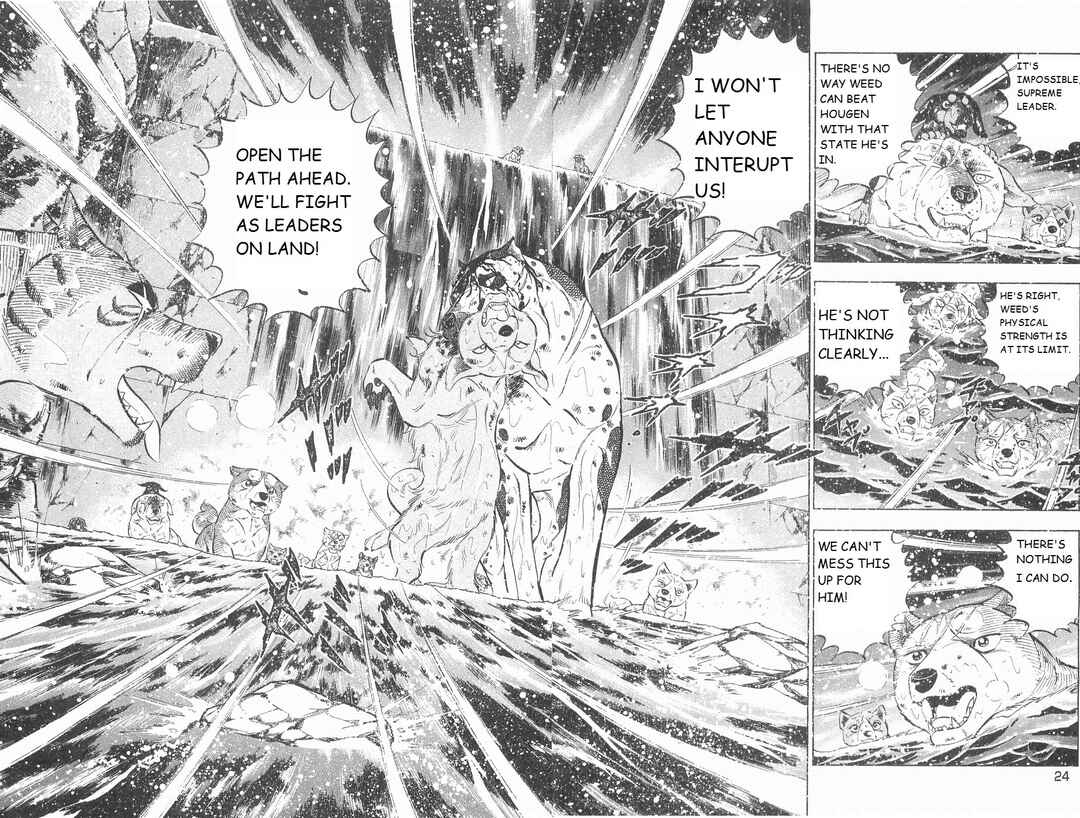 Page 13 Chapter 244 Ginga Densetsu Weed