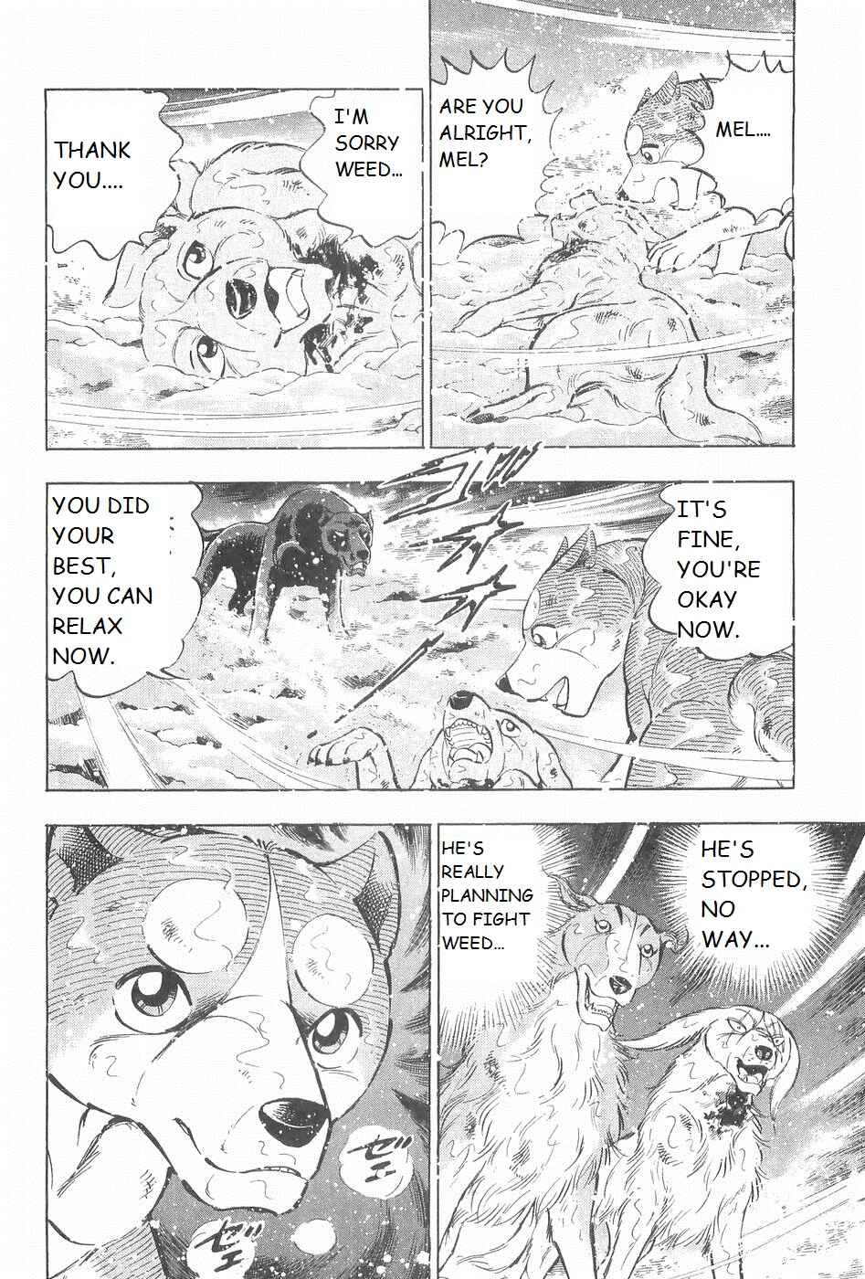 Page 16 Chapter 244 Ginga Densetsu Weed