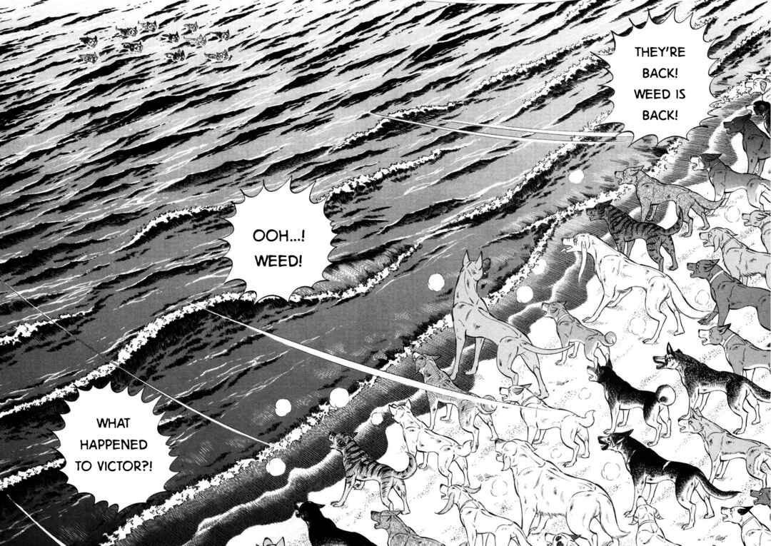 Page 2 Chapter 421 Ginga Densetsu Weed