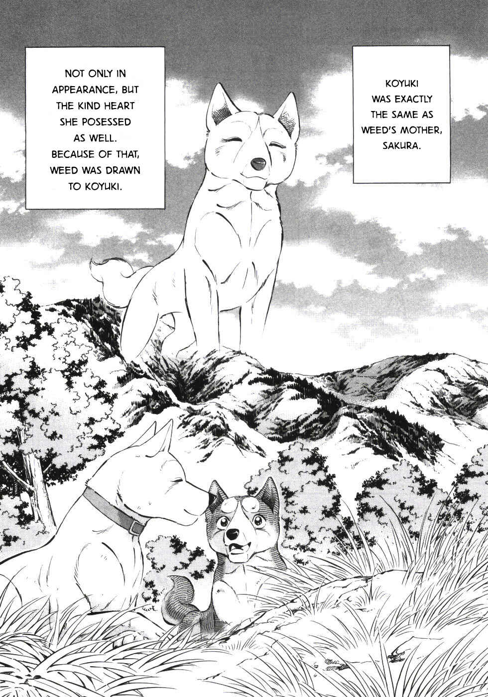 Page 12 Chapter 335 Ginga Densetsu Weed