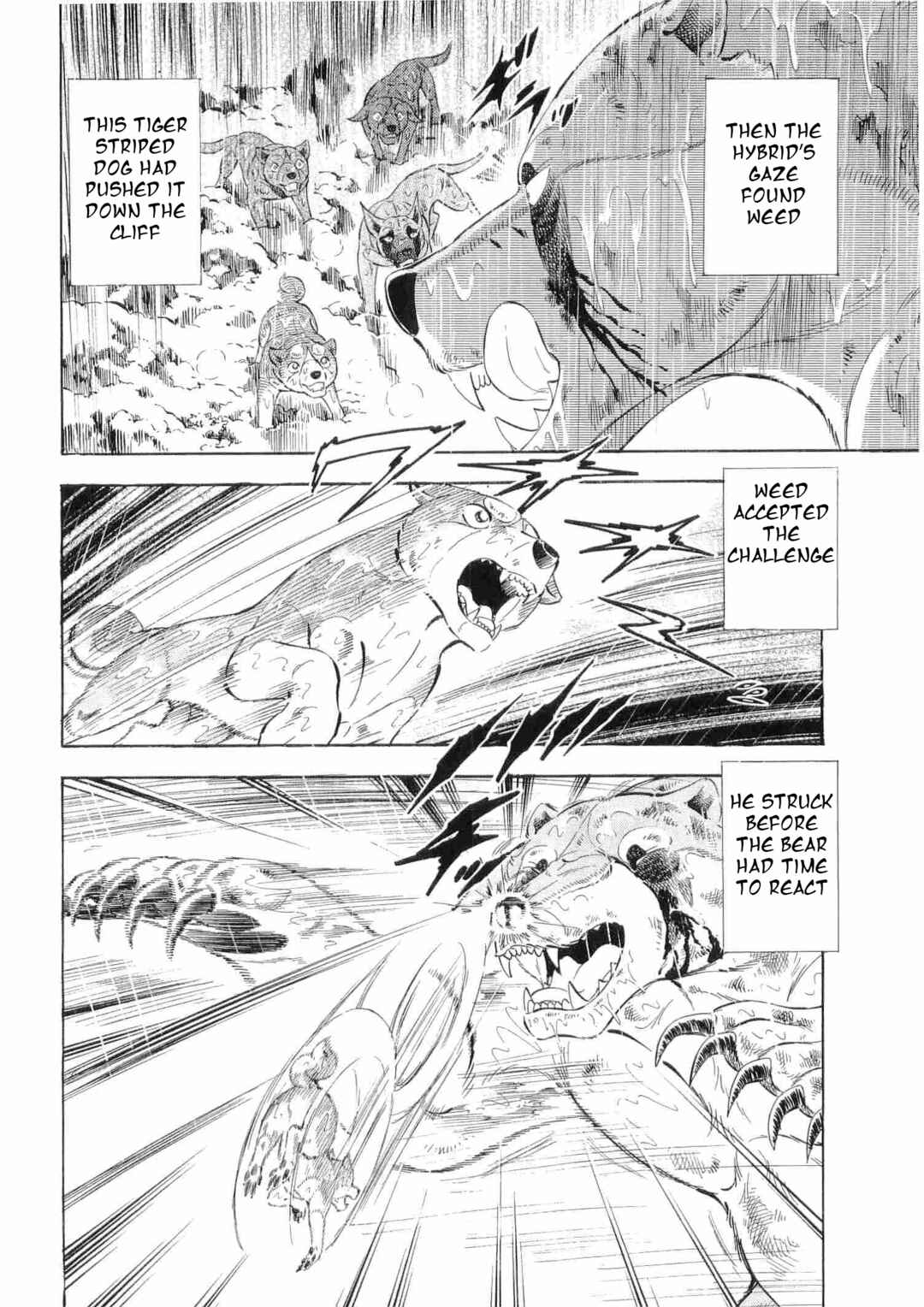 Page 14 Chapter 475 Ginga Densetsu Weed