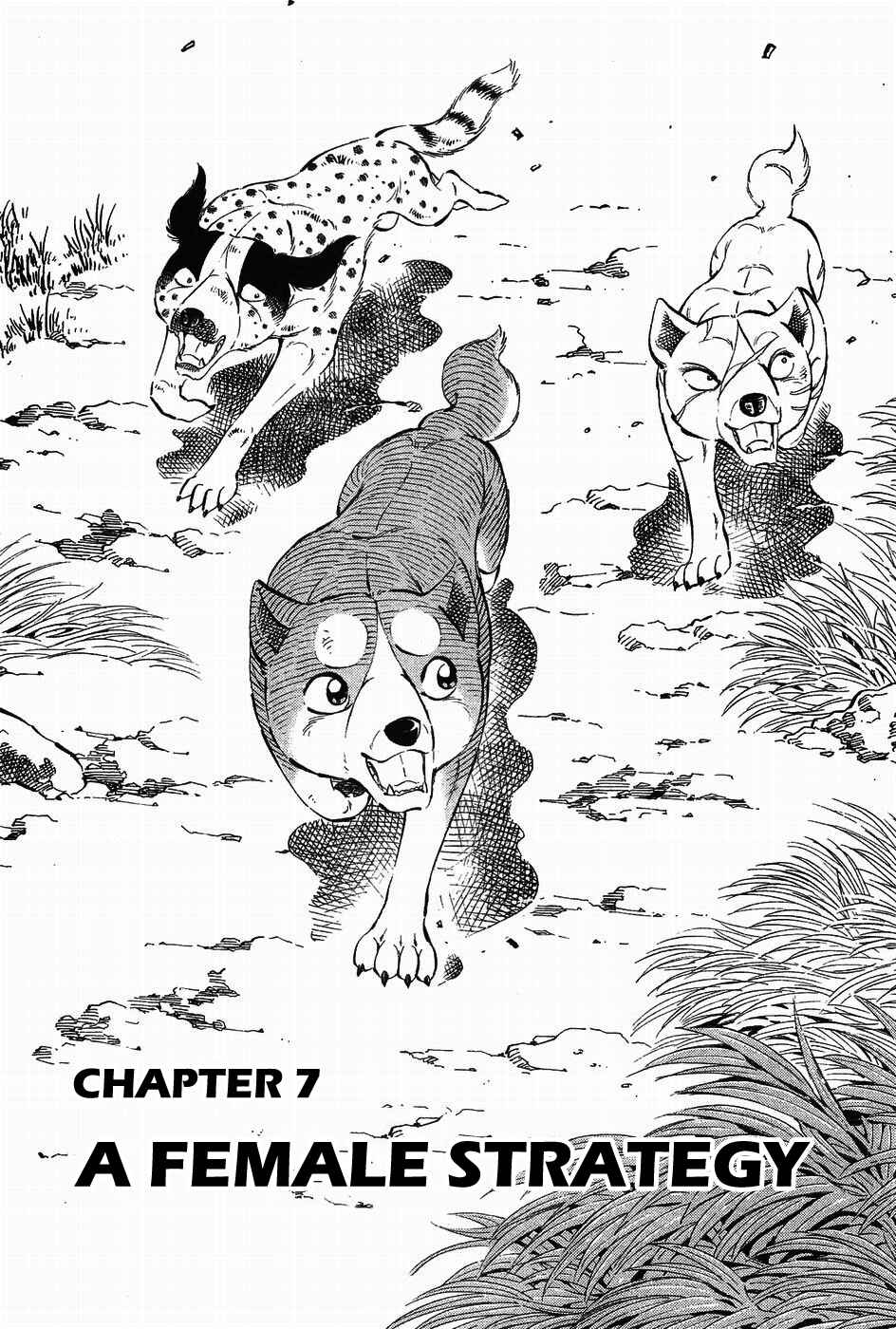 Page 1 Chapter 314 Ginga Densetsu Weed