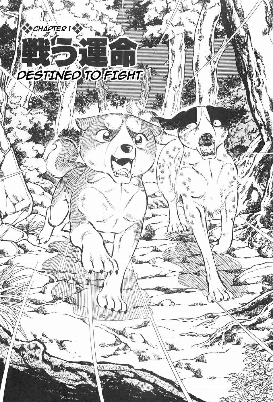 Page 8 Chapter 112 Ginga Densetsu Weed