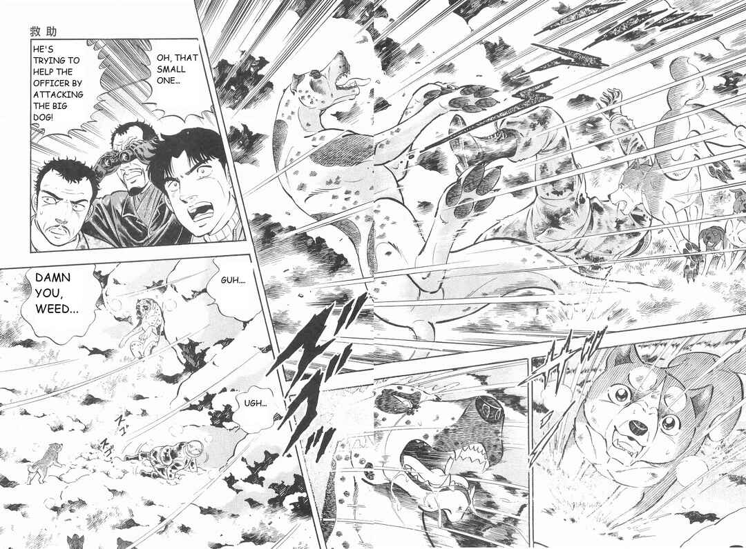 Page 11 Chapter 215 Ginga Densetsu Weed