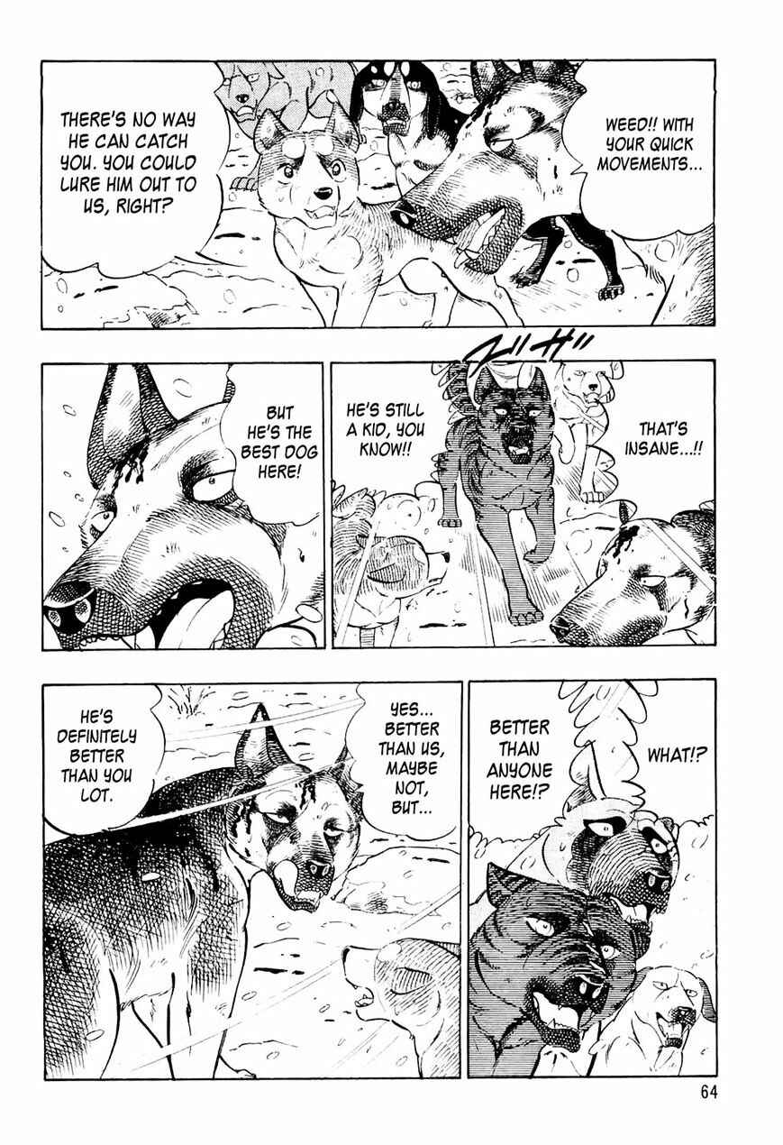 Page 18 Chapter 33 Ginga Densetsu Weed