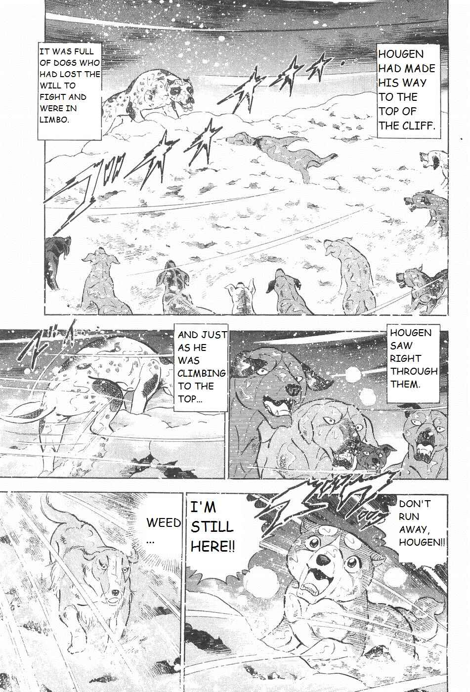 Page 21 Chapter 240 Ginga Densetsu Weed