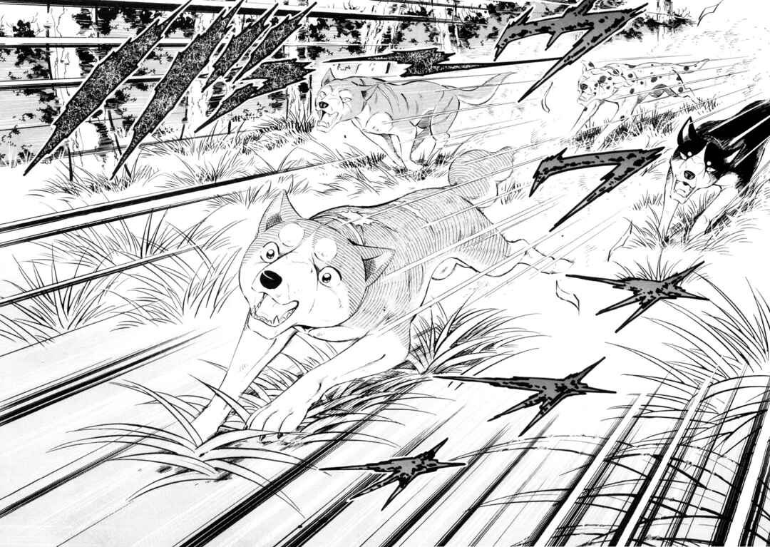 Page 13 Chapter 428 Ginga Densetsu Weed