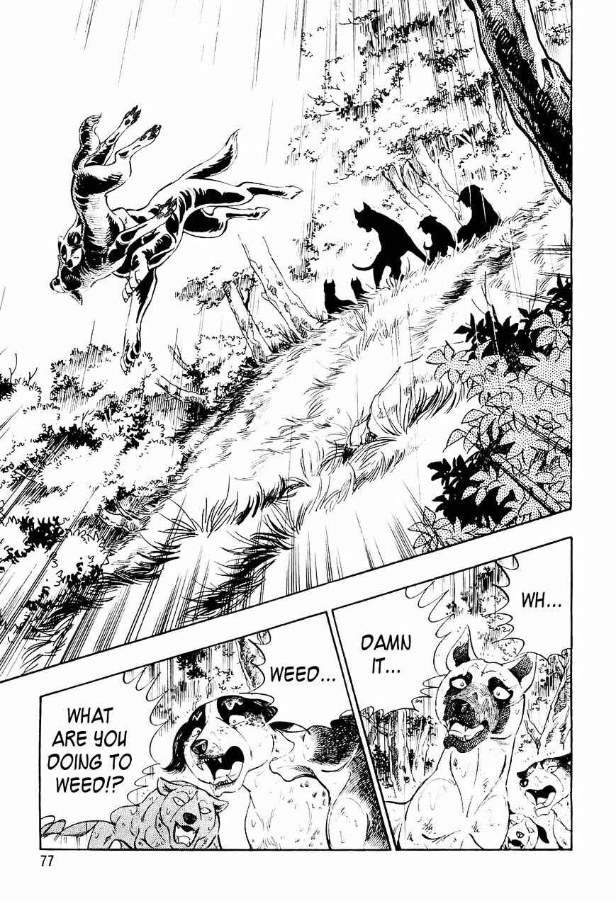 Page 14 Chapter 14 Ginga Densetsu Weed