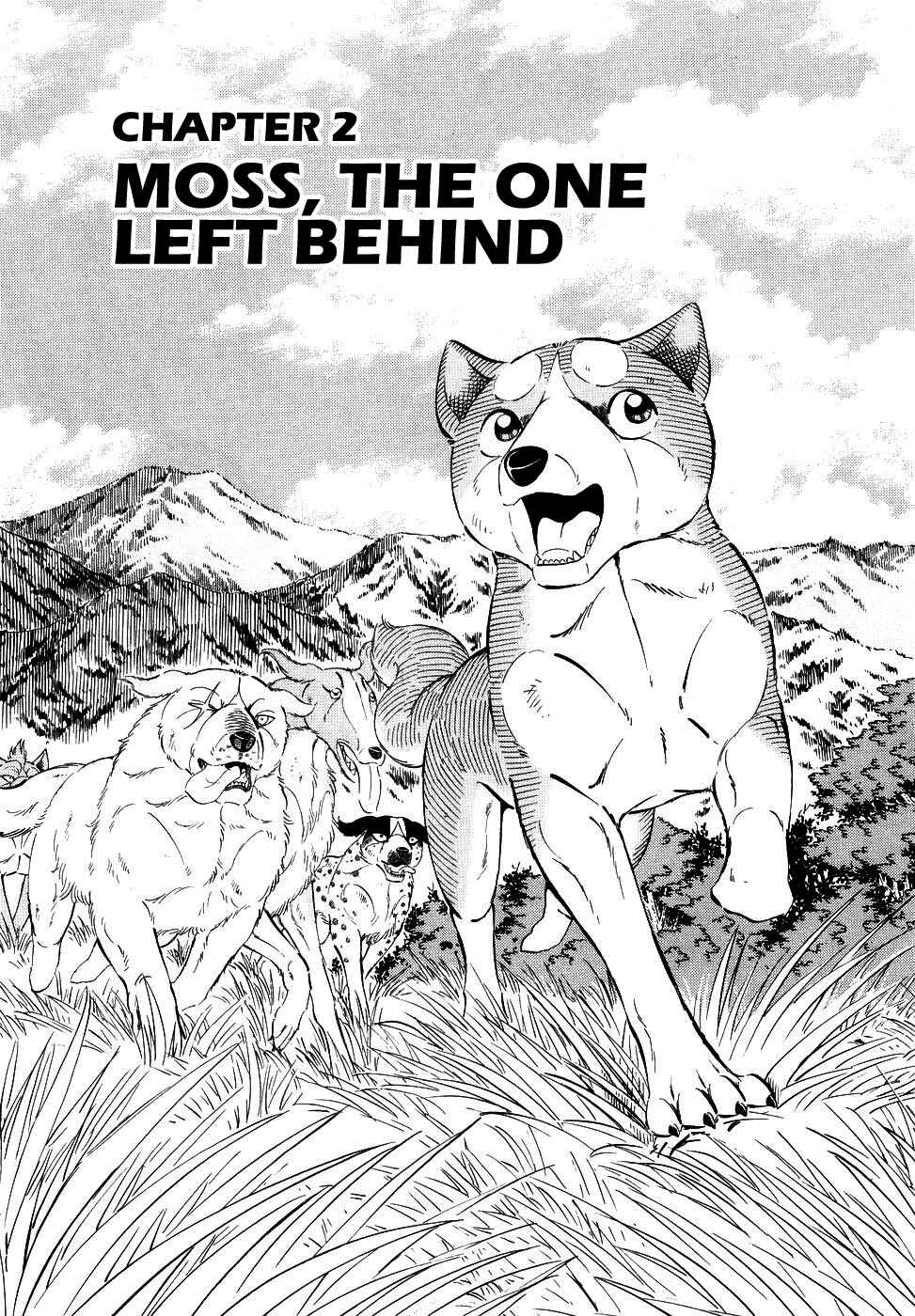 Page 1 Chapter 373 Ginga Densetsu Weed