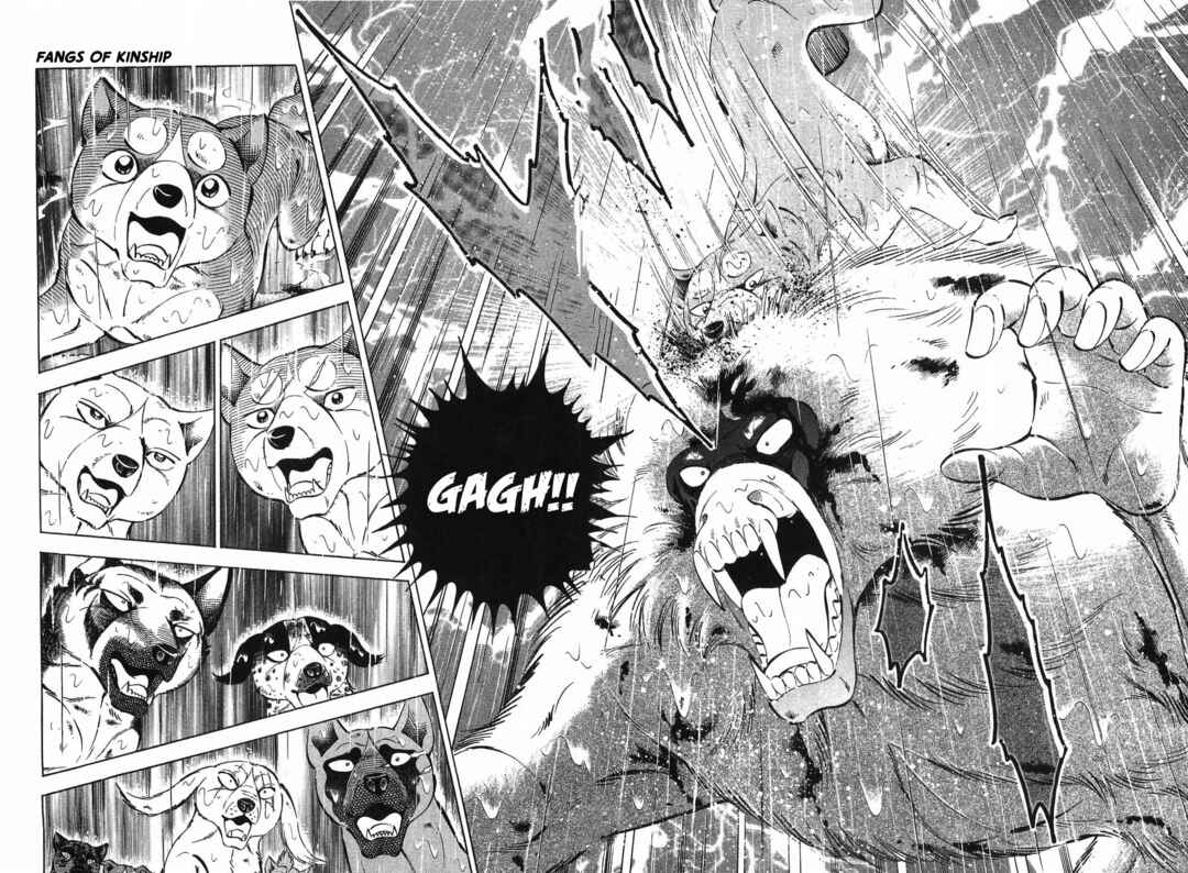 Page 14 Chapter 295 Ginga Densetsu Weed