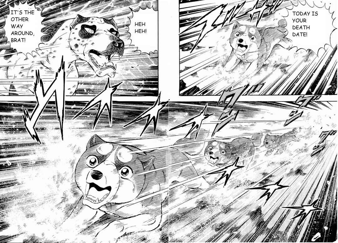 Page 17 Chapter 191 Ginga Densetsu Weed
