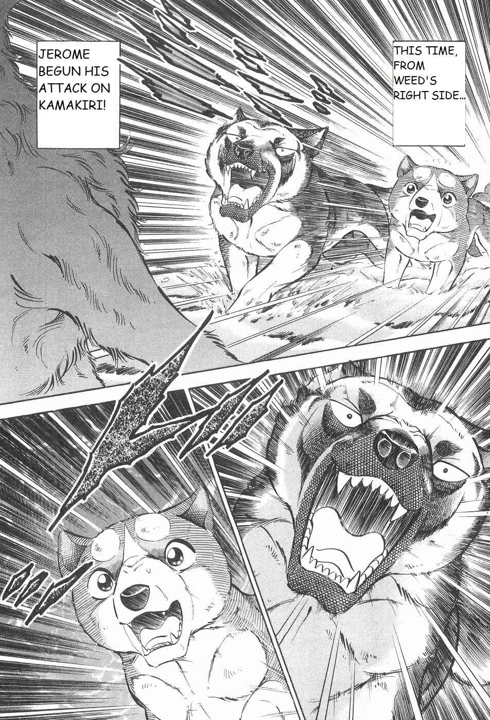 Page 7 Chapter 214 Ginga Densetsu Weed