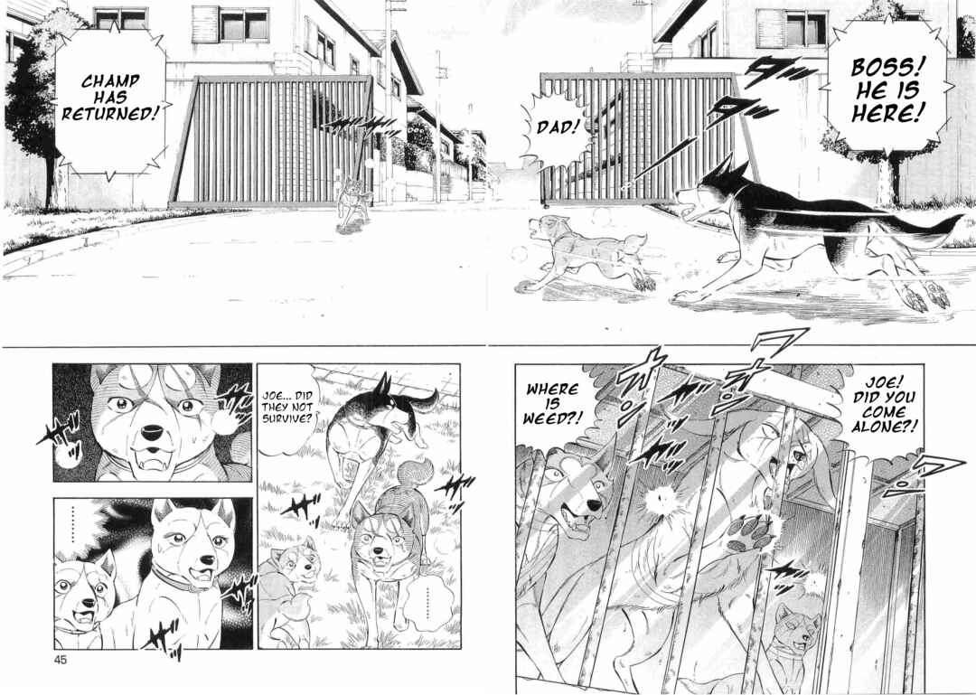 Page 11 Chapter 493 Ginga Densetsu Weed