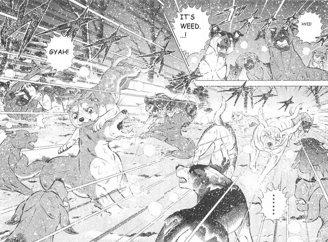 Page 10 Chapter 206 Ginga Densetsu Weed