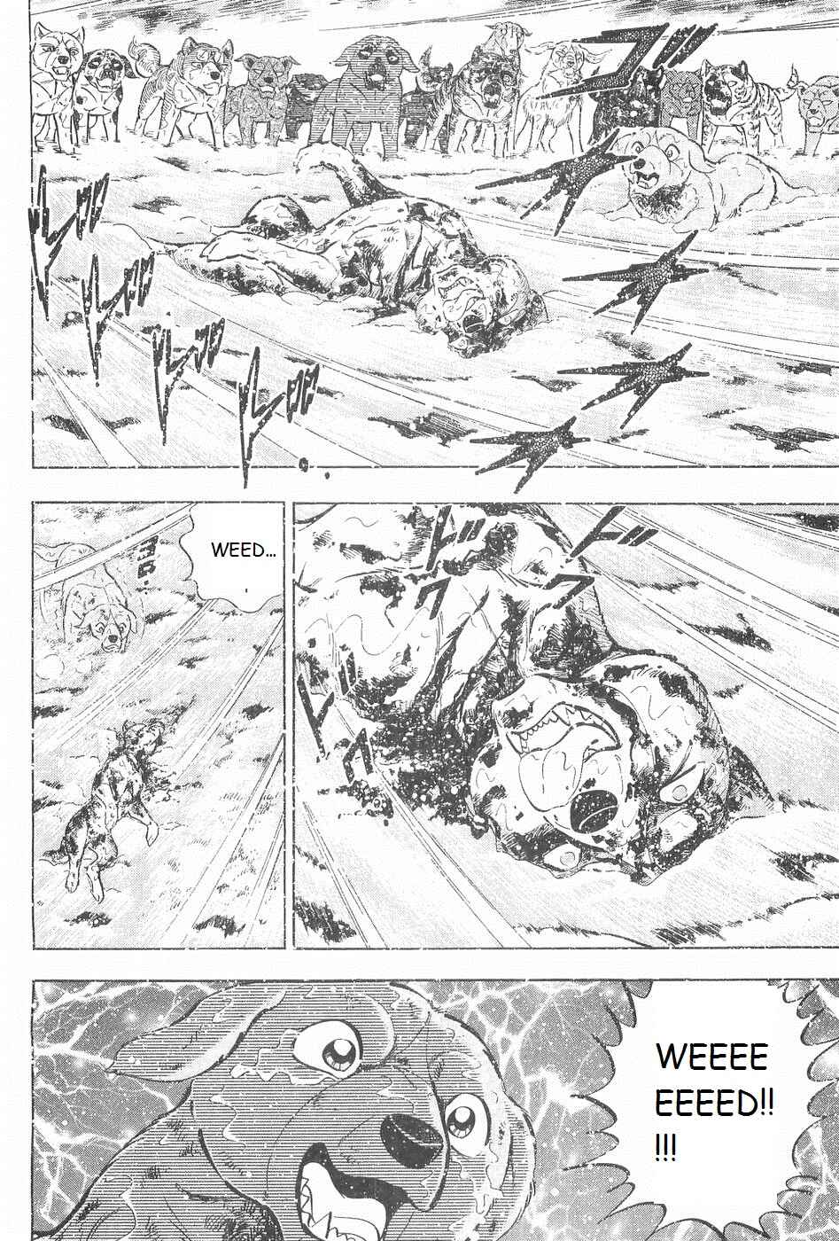 Page 13 Chapter 247 Ginga Densetsu Weed